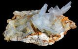 Tabular, Blue Barite Crystal Cluster - Spain #55214-1